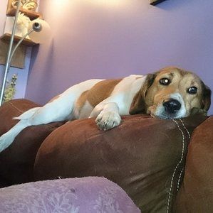 Meet your Posher, Rick